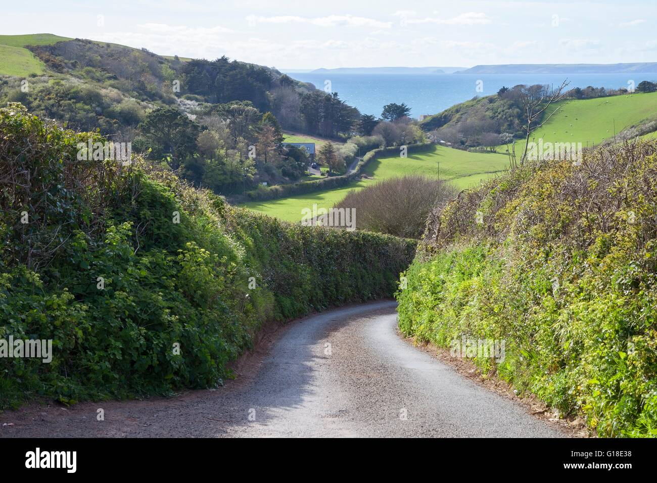 Devonshire country lane menant à Hope Cove, en Angleterre. Banque D'Images