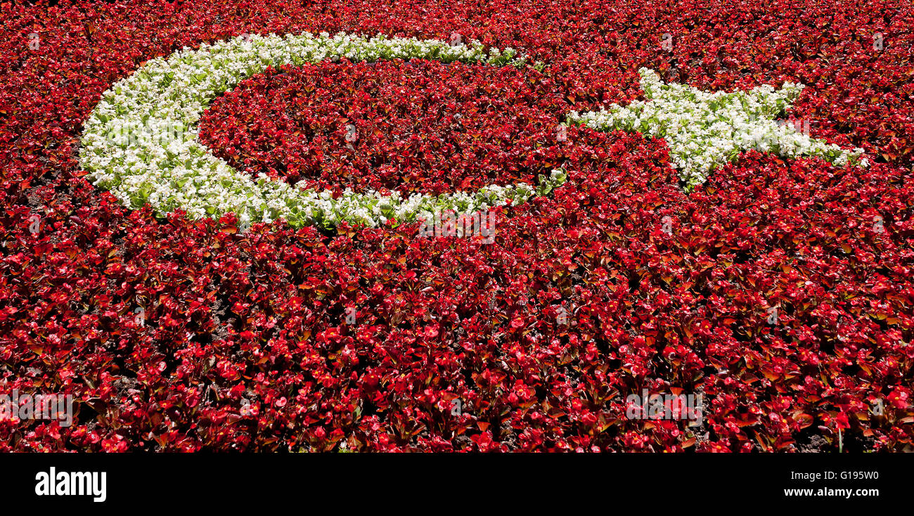 Drapeau turc fait de fleurs Banque D'Images