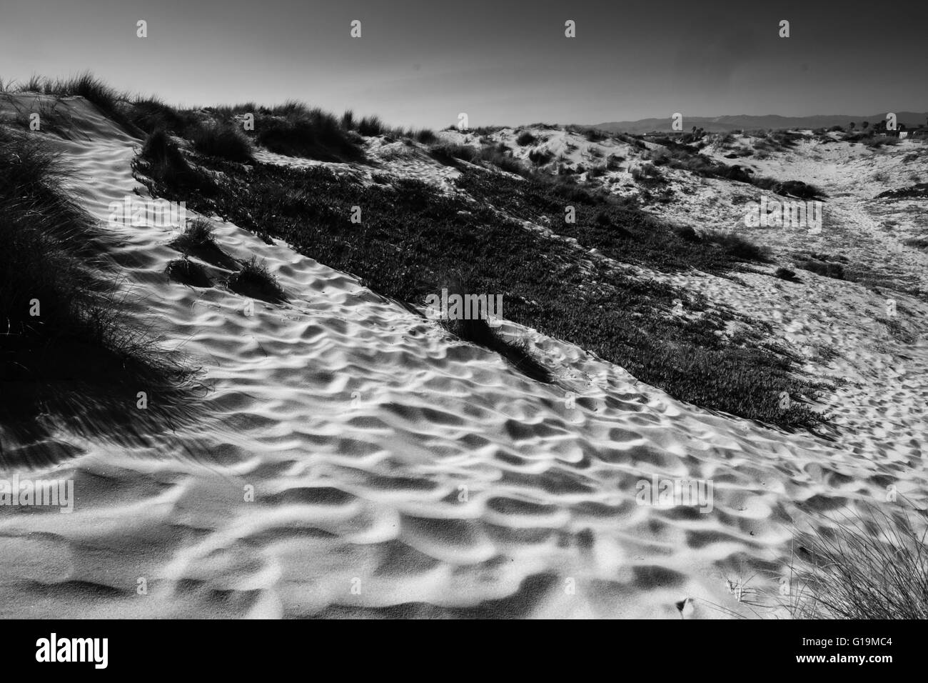 Une plage dans le centre de la Californie [] monochrome Banque D'Images