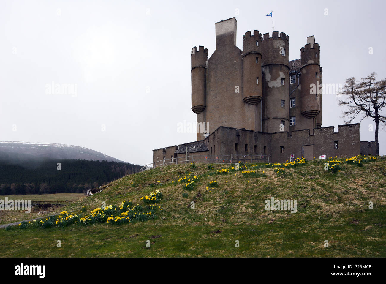 Braemar Castle en Ecosse, avec des jonquilles en fleurs en face du château, et de la neige sur le sommet de la montagne en arrière-plan. Banque D'Images