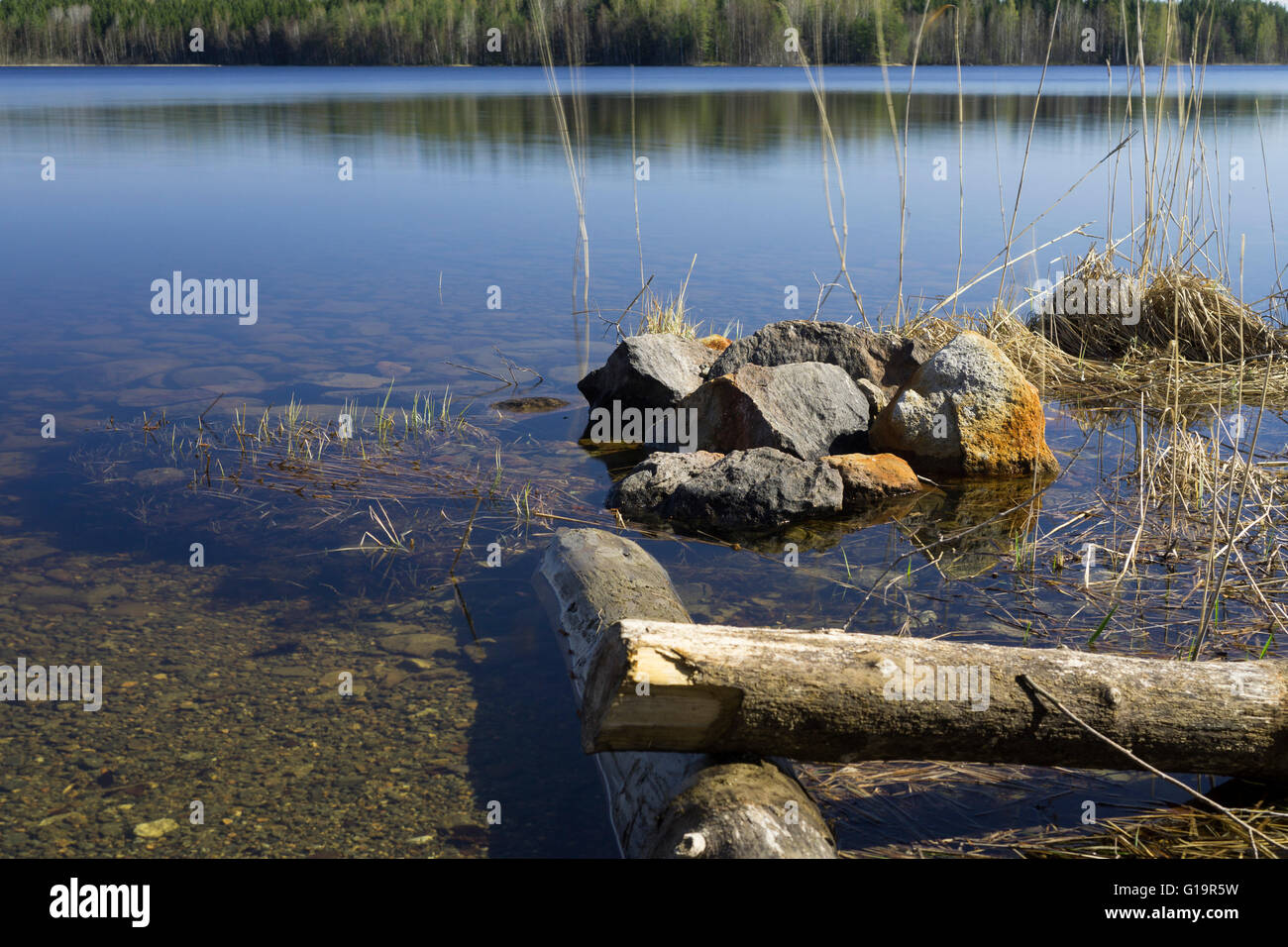 Été finlandaise Banque D'Images