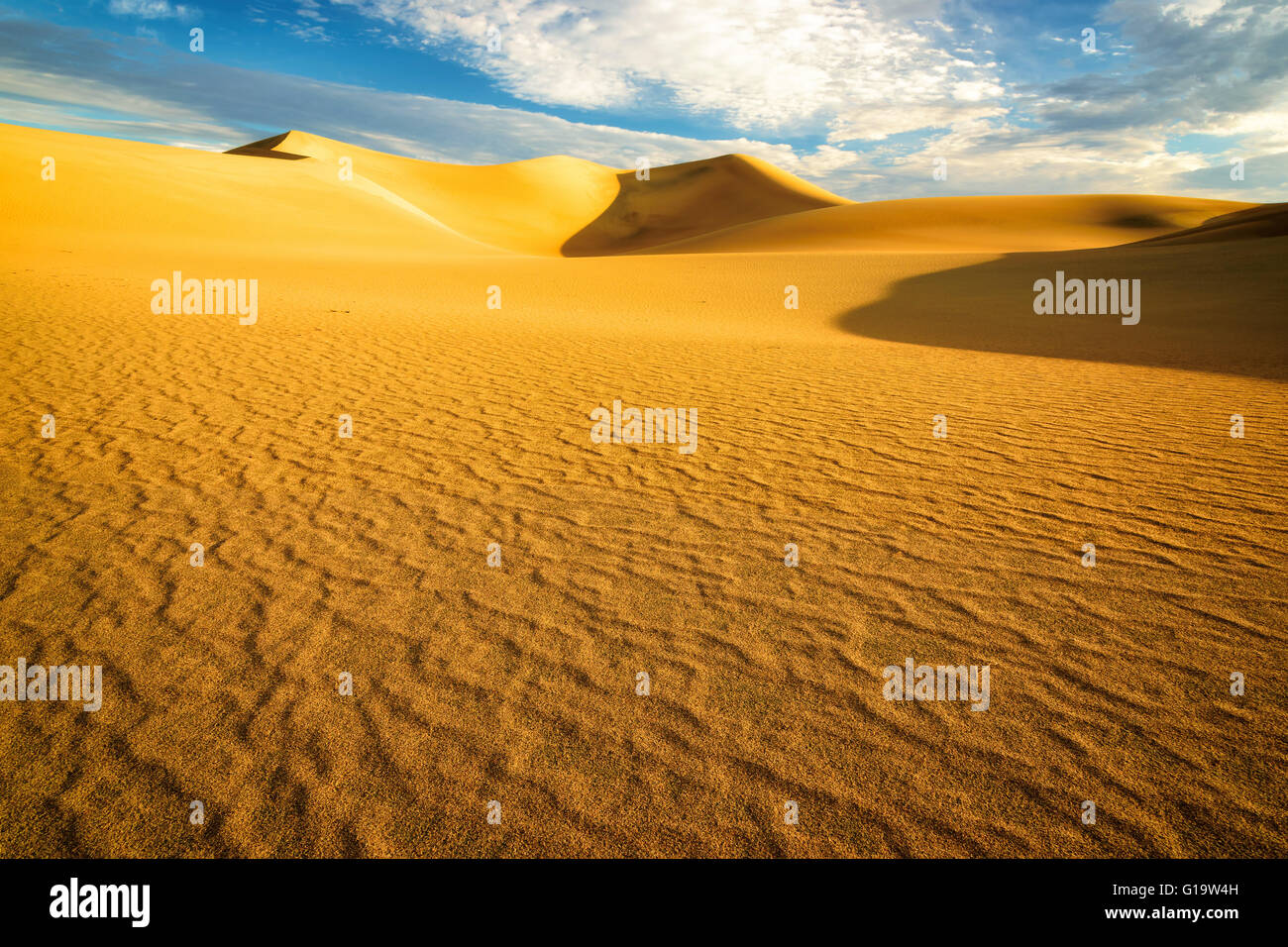 Dunes de sable au lever du soleil dans le désert Banque D'Images