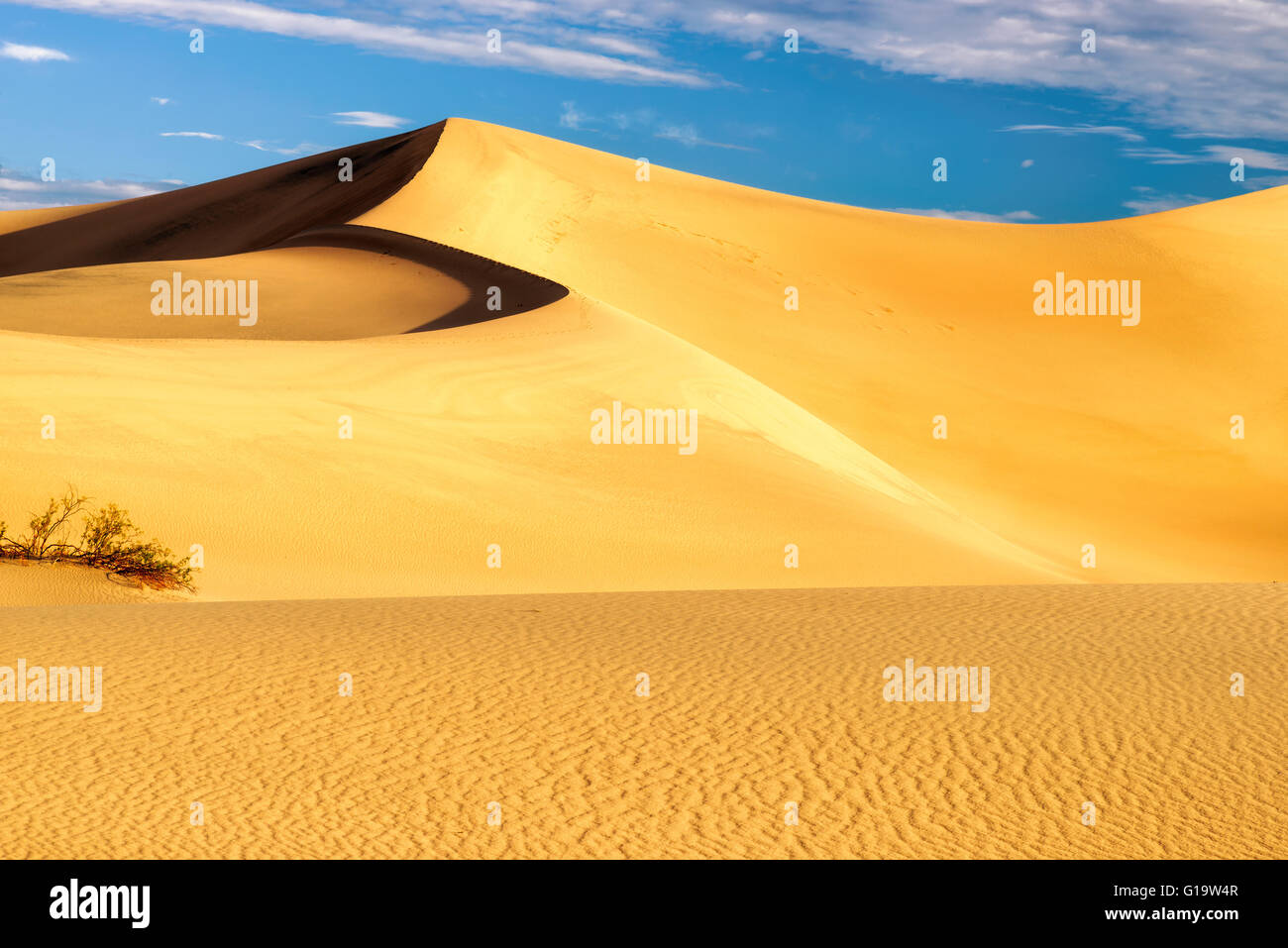 Dunes de sable dans le désert Banque D'Images