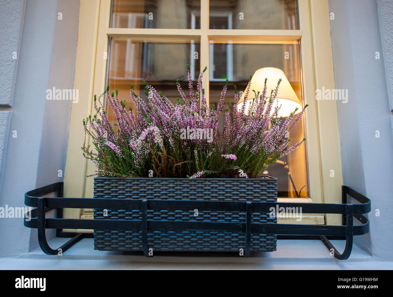 Des fleurs sur la fenêtre sur rue Banque D'Images