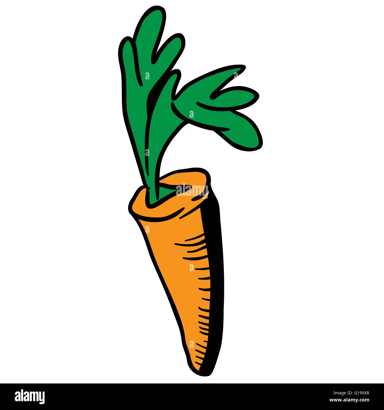 Illustration cartoon carotte Illustration de Vecteur