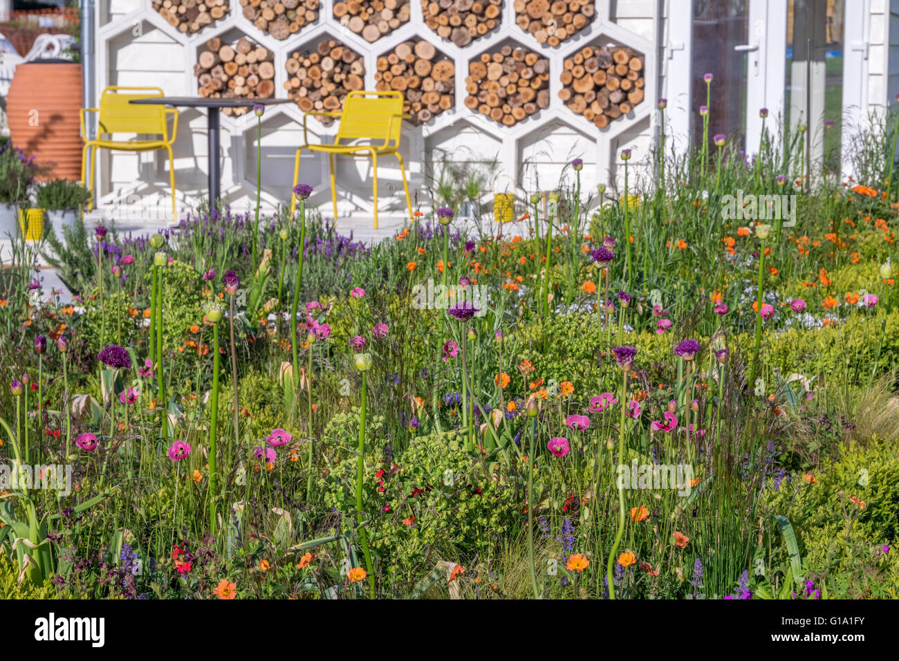 Un jardin avec bâtiment conception en nid d'insectes dont un hôtel. Afficher jardin conçu par Wilson Associates Garden Design. Banque D'Images