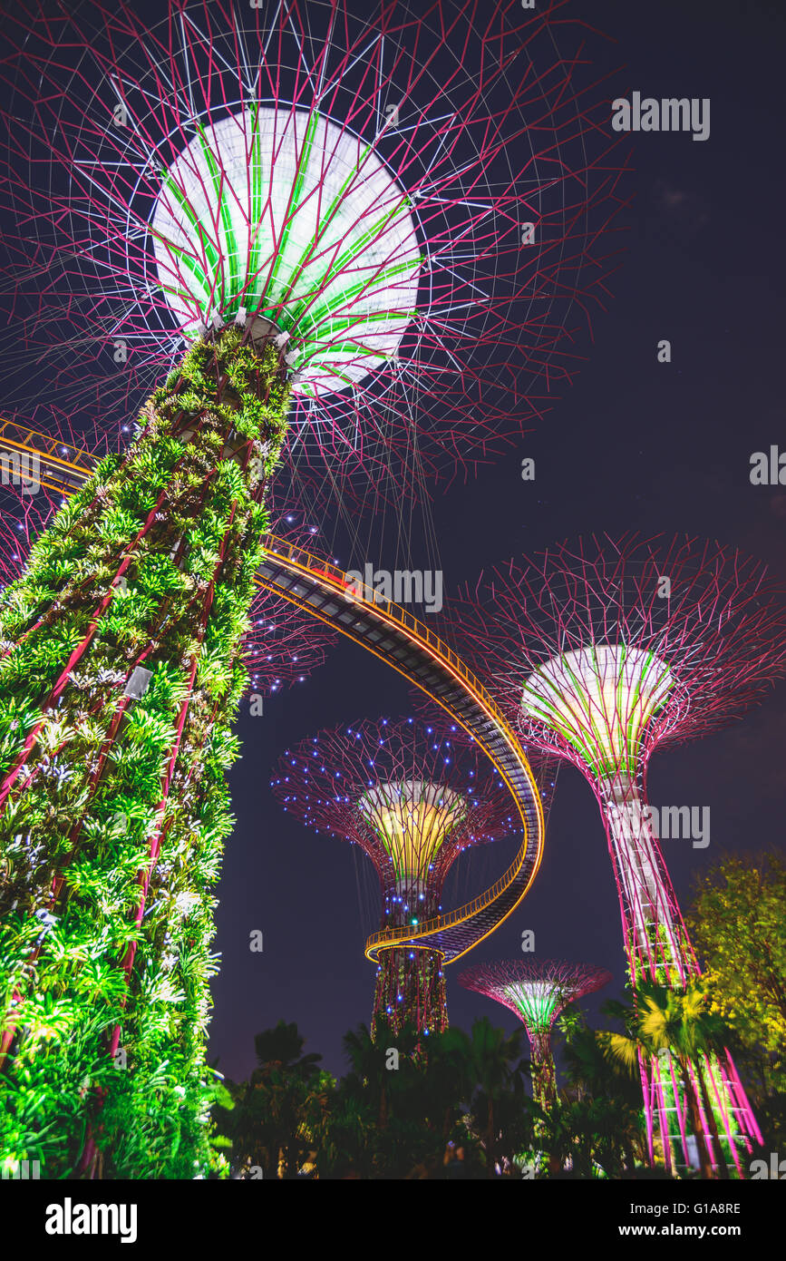 Singapour la plus extraordinaire des pièce d'architecture. Arbres en béton recouvert d'une peau de végétaux vivants Banque D'Images