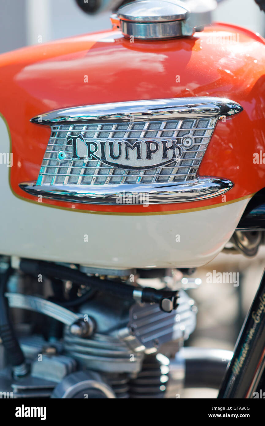 Triumph BONNEVILLE du réservoir d'essence et d'un insigne. Moto classique britannique Banque D'Images
