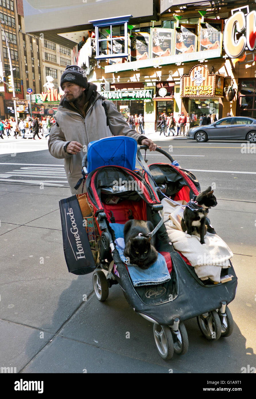 Sans-abri vivant dans les rues de Manhattan avec poussette de chats New York City Banque D'Images