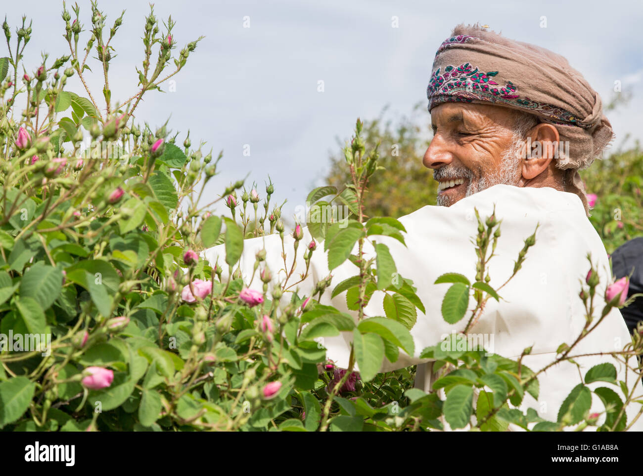 Les hommes en costume traditionnel omanais montrant outre de panier plein de pétales de rose Banque D'Images