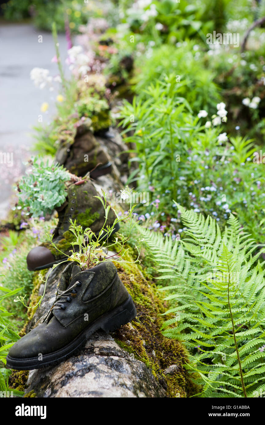 Vieilles bottes utilisées comme des pots de fleurs, l'Avenue, Derbyshire, Angleterre, Tissington Banque D'Images
