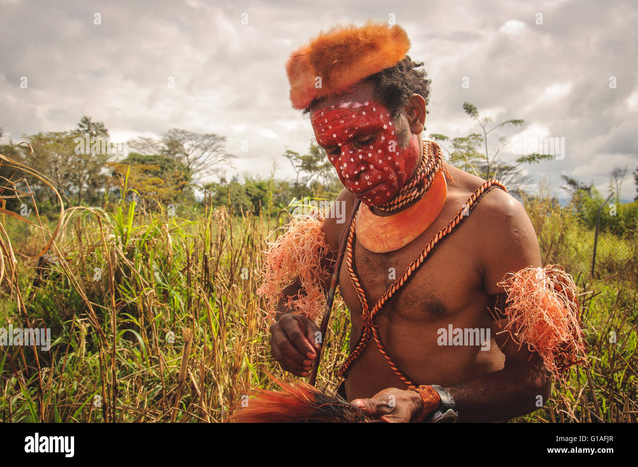 Membre de la tribu des Highlands à la Mt Hagen spectacle culturel en Papouasie Nouvelle Guinée Banque D'Images
