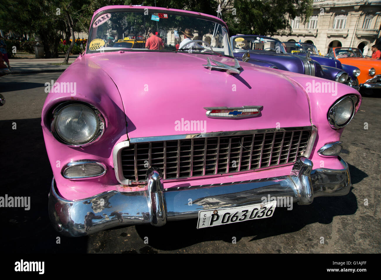 Une rangée de vieux peint années 50 voitures américaines sur l'affichage en Centro Havana pour les touristes d'embaucher La Habana Cuba Banque D'Images