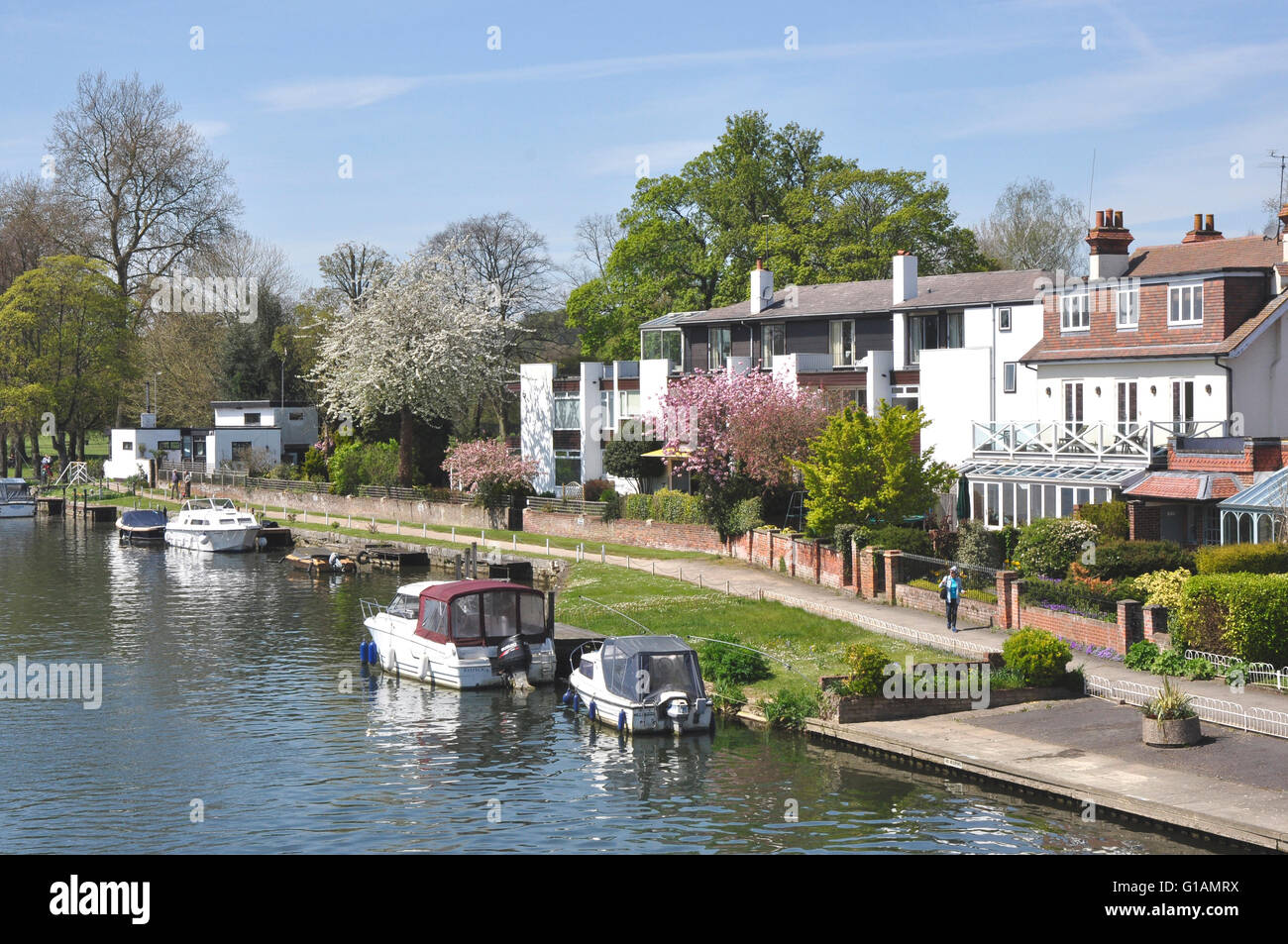 Argent - Marlow - la promenade Riverside - maisons d'époque - arbres fleuris - bateaux amarrés - reflets du soleil de printemps Banque D'Images