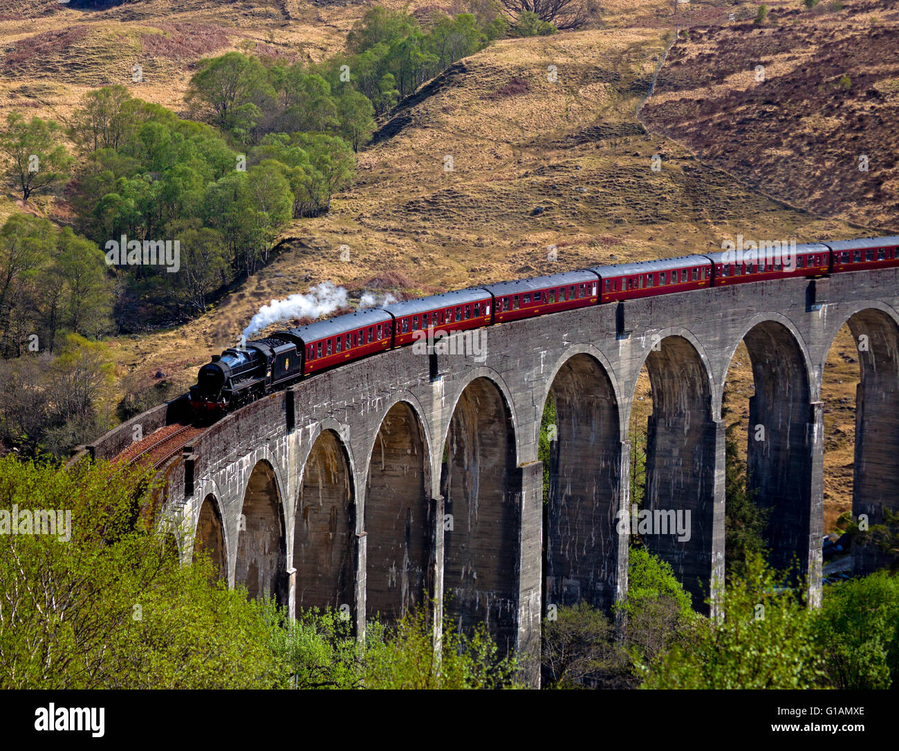 Lochaber, Scotland, UK. Passage du Train à vapeur Jacobite viaduc de Glenfinnan , saison 2016 voyageant de Fort William à Mallaig Banque D'Images