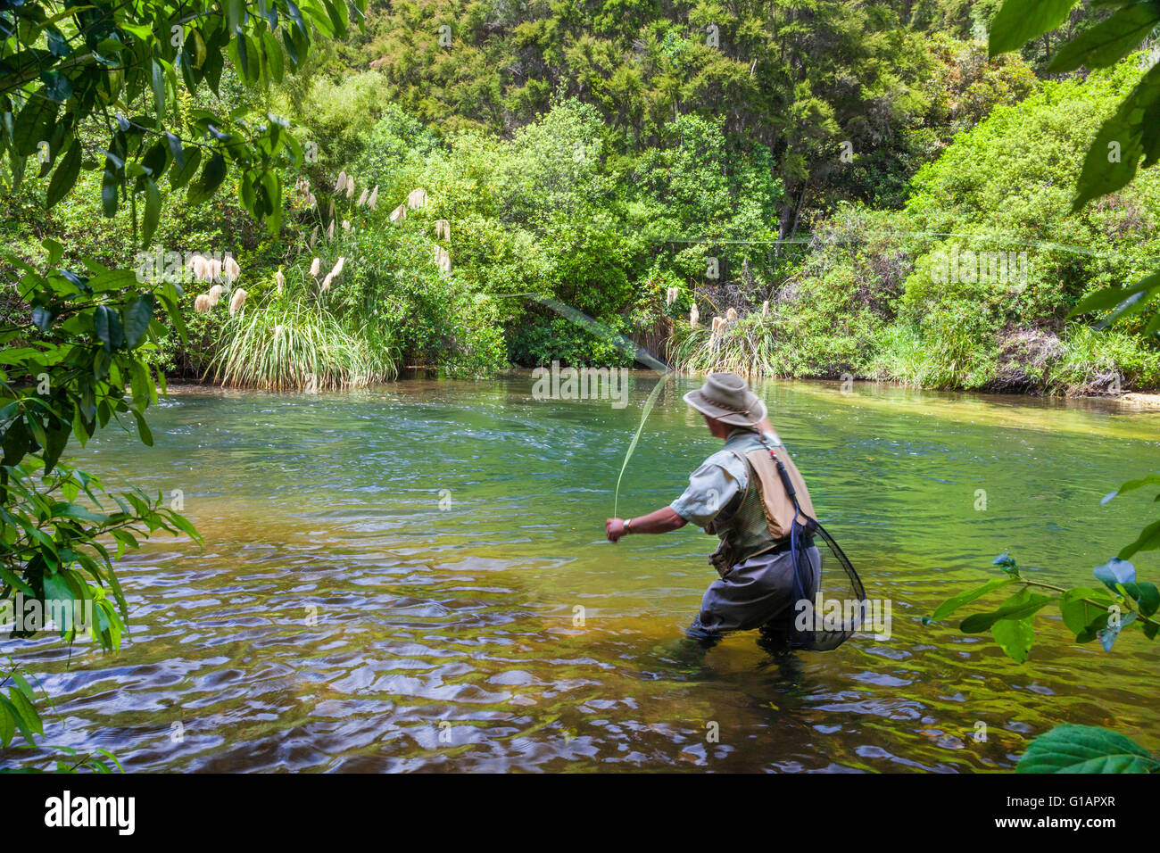 La pêche de mouche les touristes avec guide de pêche dans la zone du lac Taupo en Nouvelle-Zélande flux Banque D'Images
