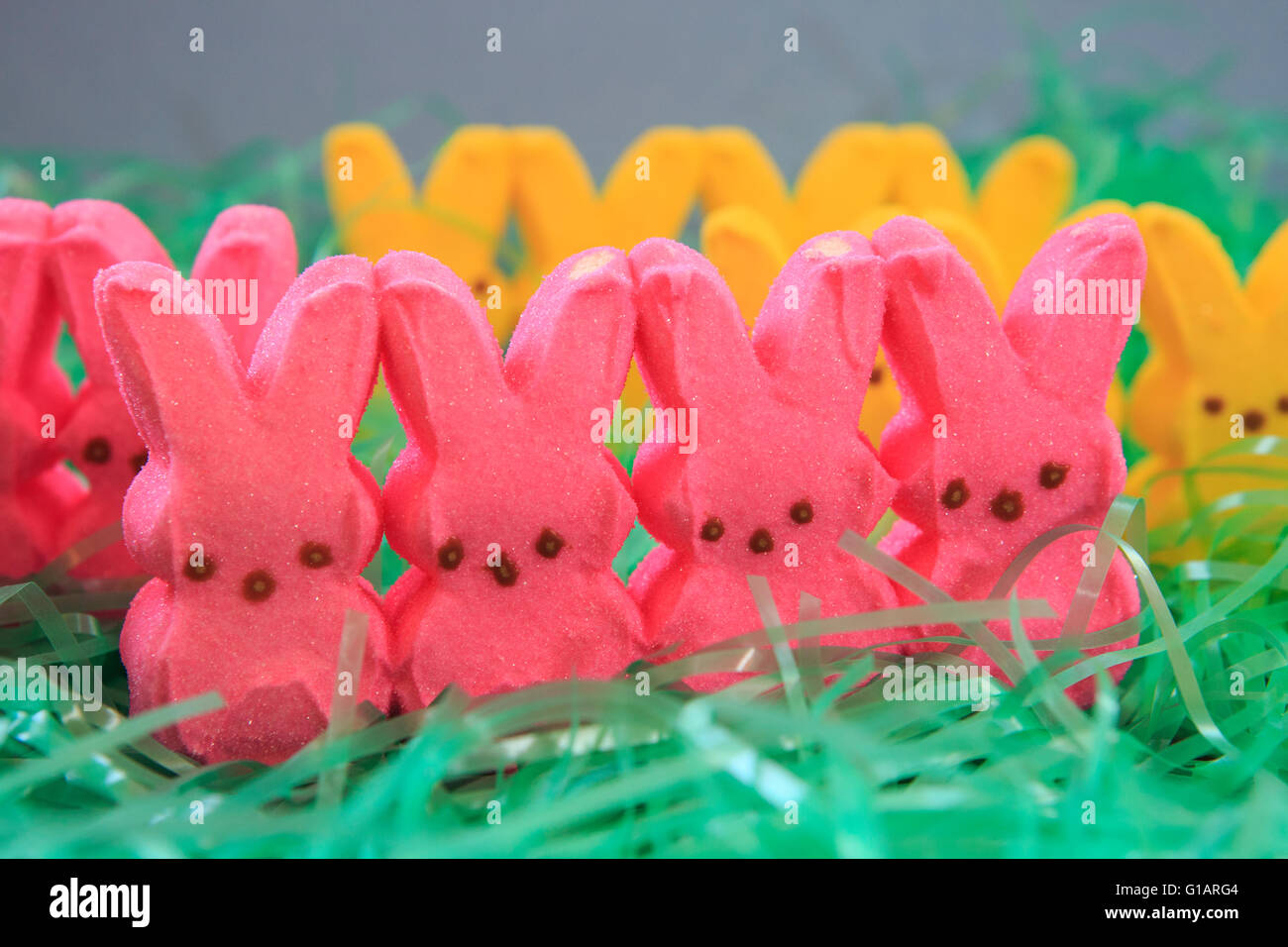 Colored Easter Peeps sur l'herbe en plastique Banque D'Images