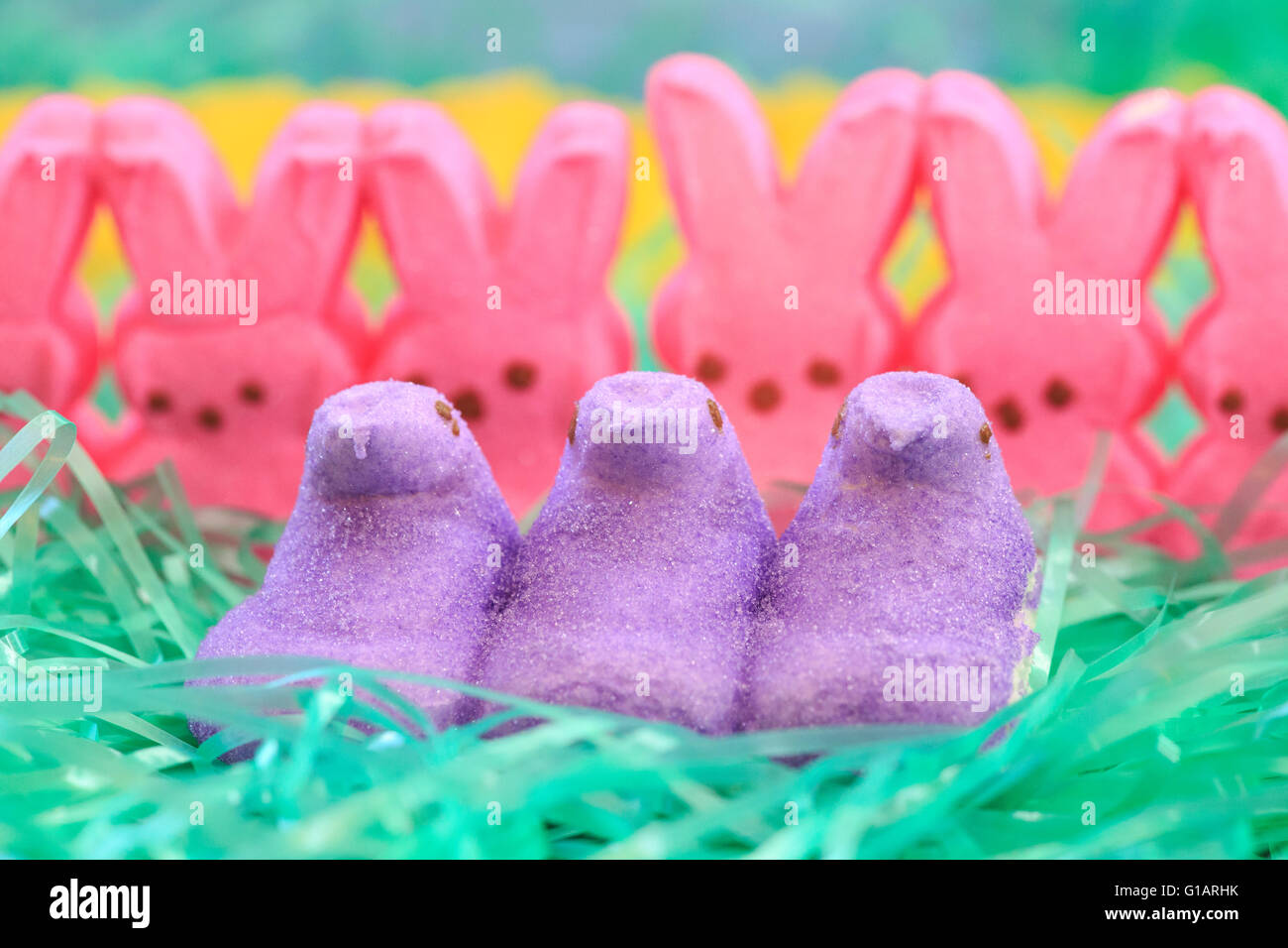 Colored Easter Peeps sur l'herbe en plastique Banque D'Images