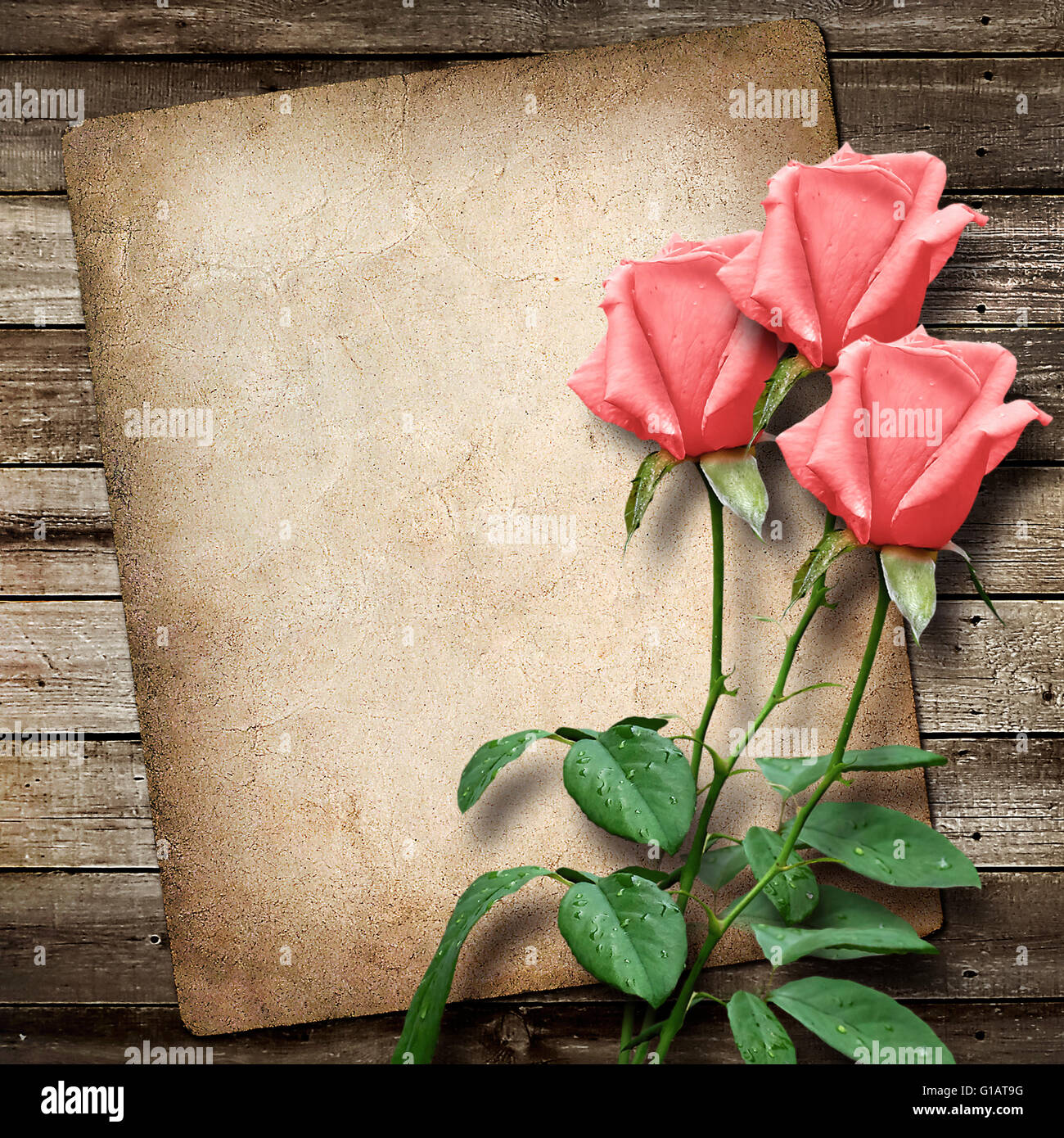 Old vintage card et un bouquet de roses roses Banque D'Images