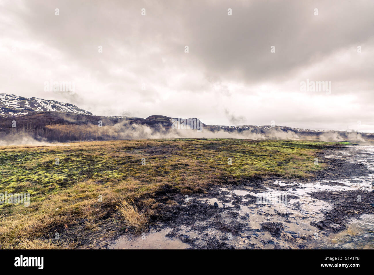 Champs steamy en Islande par temps nuageux Banque D'Images