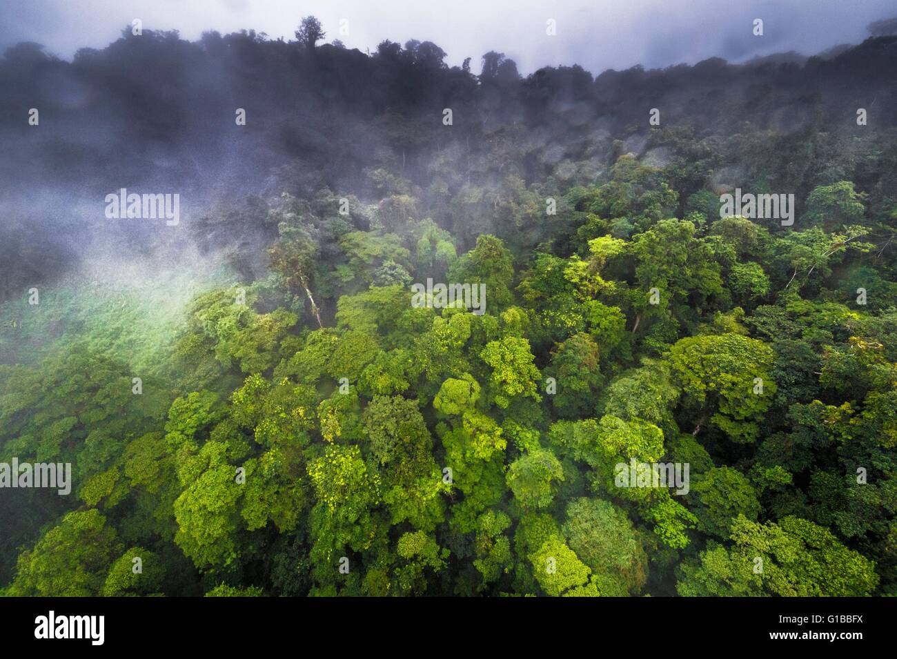 France, Guyane, Guyane Française Parc Amazonien, secteur de coeur, le sommet de la montagne de Itoupe (830 m), saison des pluies, vue aérienne de la forêt de nuages à partir de l'hélicoptère de transport de l'équipe scientifique Banque D'Images