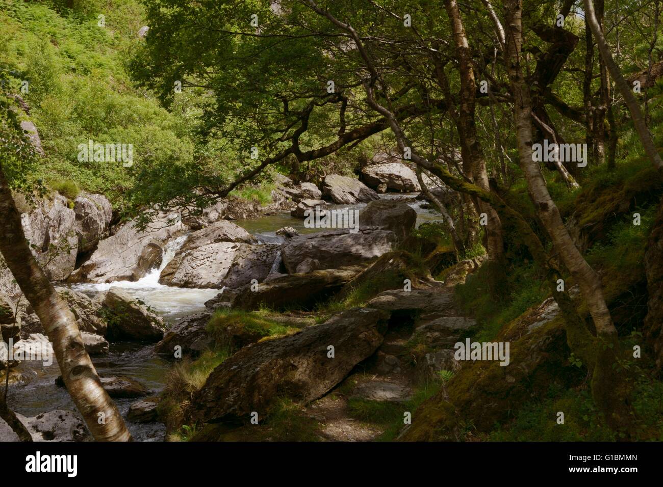 La rivière Tywi, Dinas à réserve RSPB, Pays de Galles, Royaume-Uni. Banque D'Images