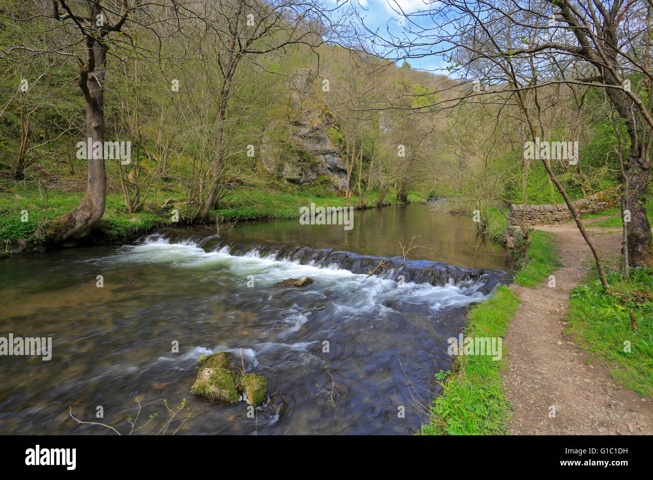 Rivière Dove weir, Dovedale, parc national de Peak District, Derbyshire, Staffordshire, Angleterre, Royaume-Uni. Banque D'Images