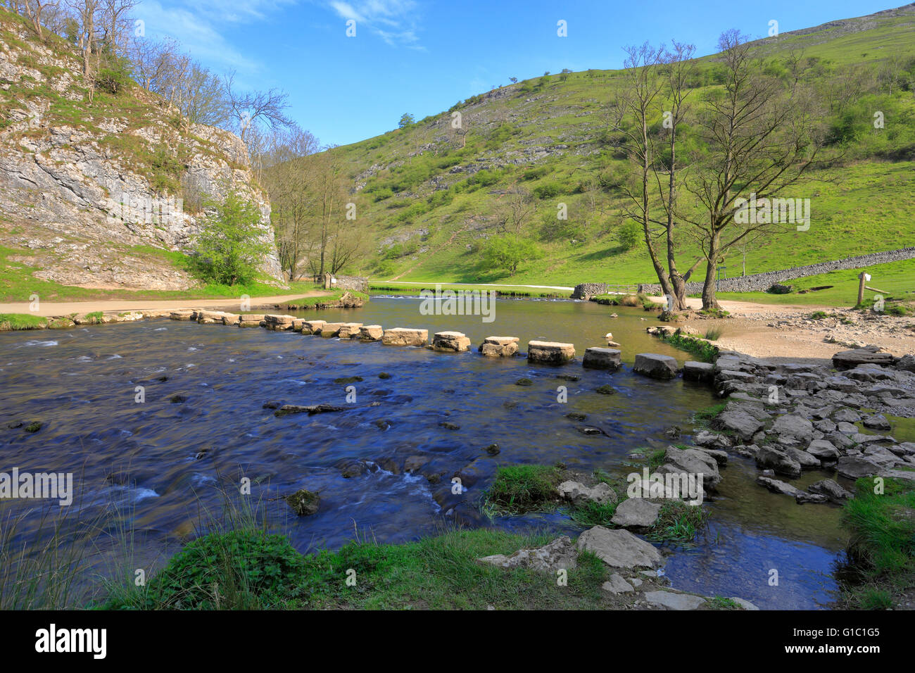 Des pierres sur la rivière Dove, Dovedale, Peak District National Park, Derbyshire, Staffordshire, Angleterre, Royaume-Uni. Banque D'Images