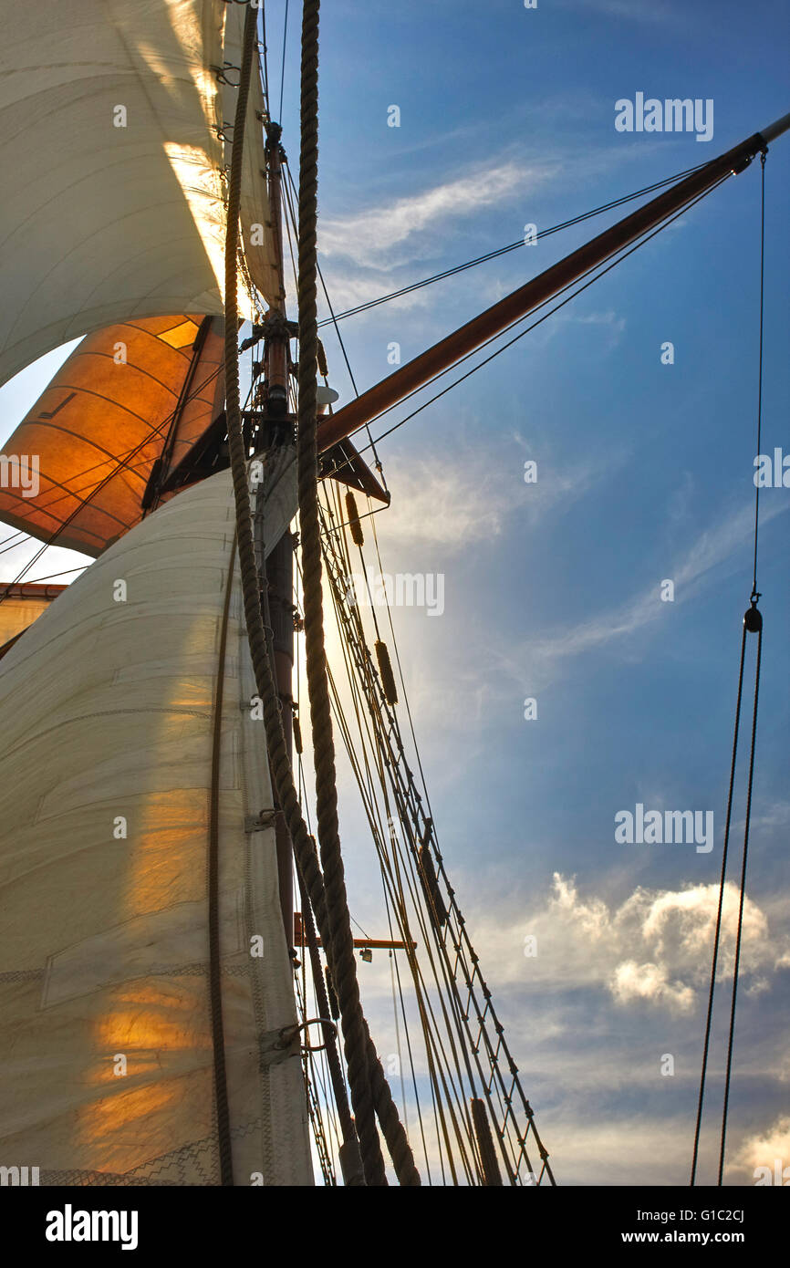 Voiles de misaine et le grand voilier Amphitrite Banque D'Images