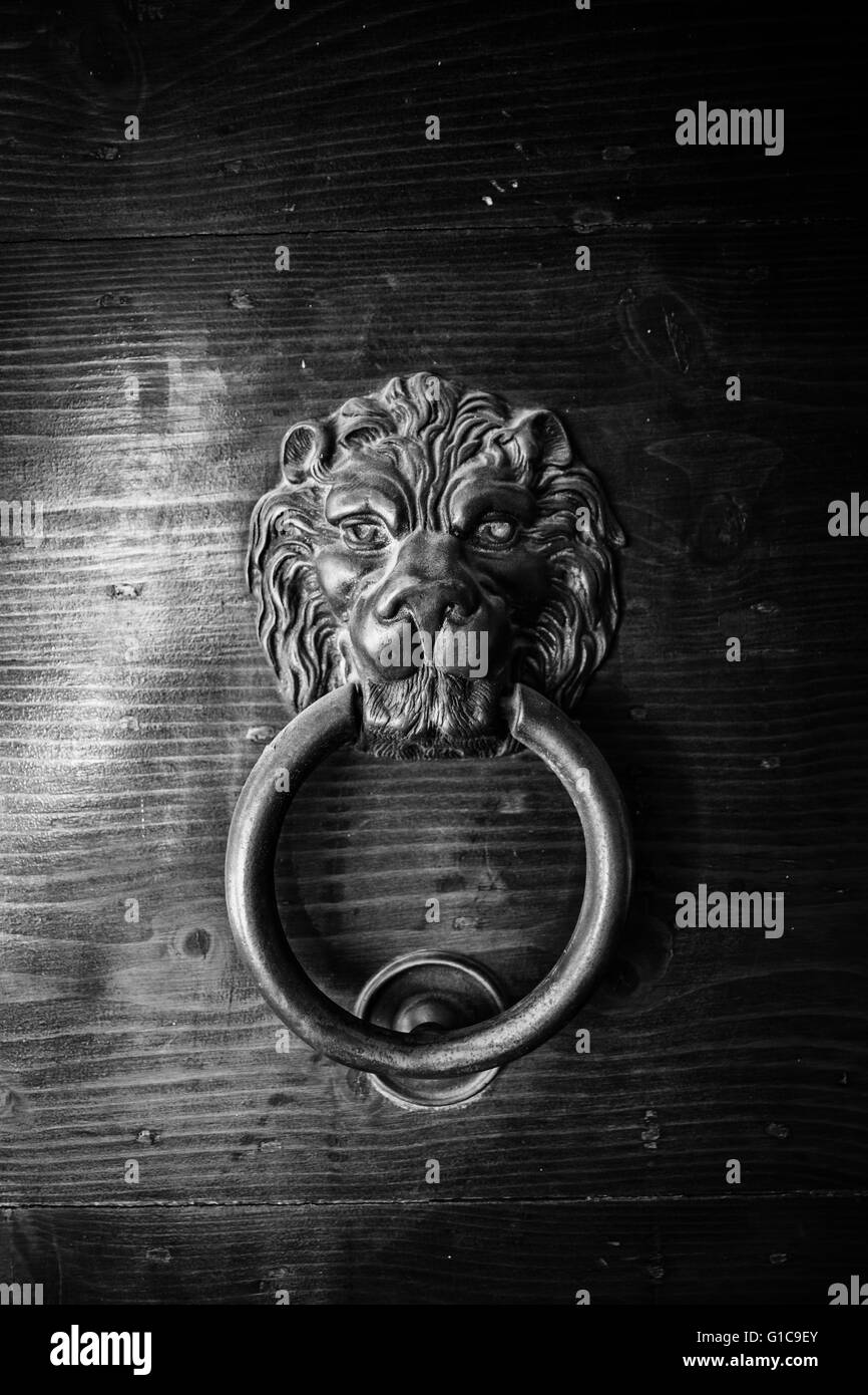 Un heurtoir en forme de tête de lion. Banque D'Images