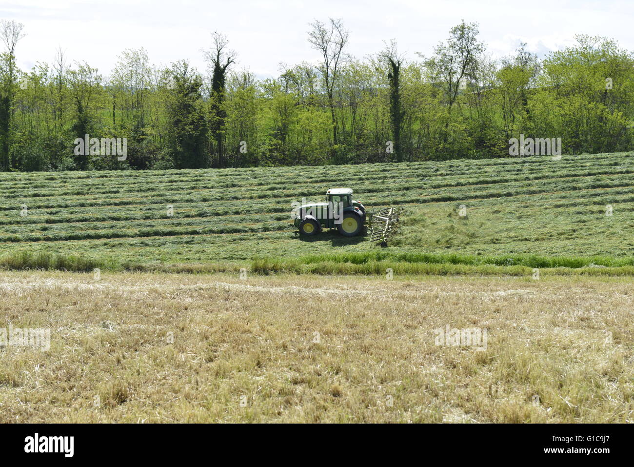 Tracteur vert herbe tournant en Emilie Romagne, Italie Banque D'Images