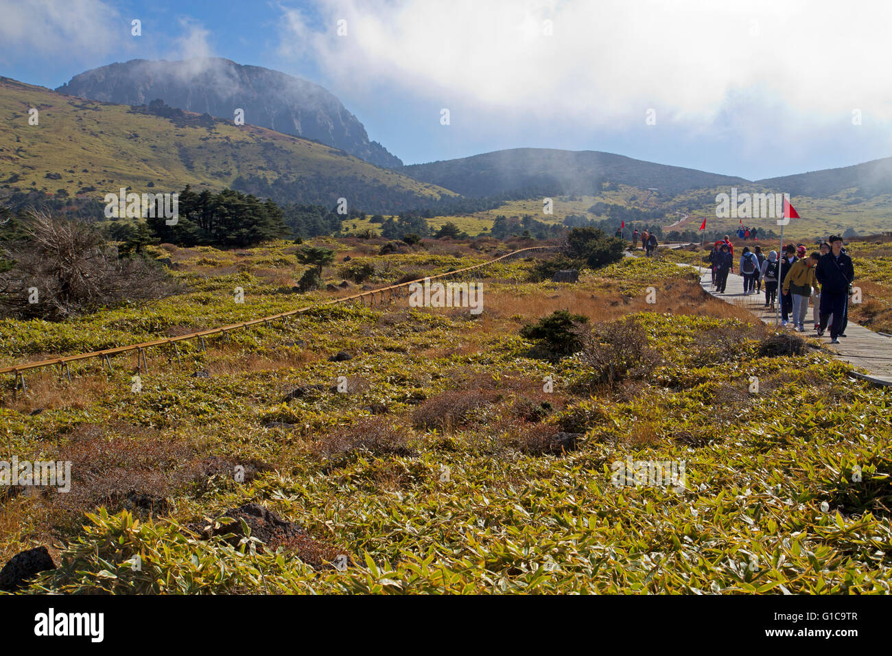 Les randonneurs sur les pentes de Hallasan, la plus haute montagne de Corée du Sud Banque D'Images