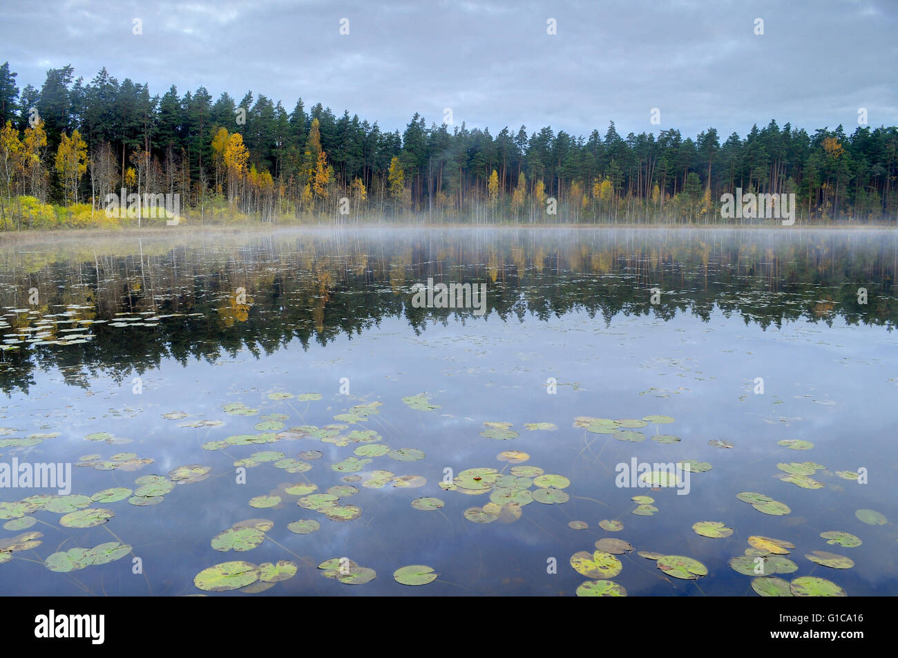 Brume sur le lac au matin d'automne Banque D'Images