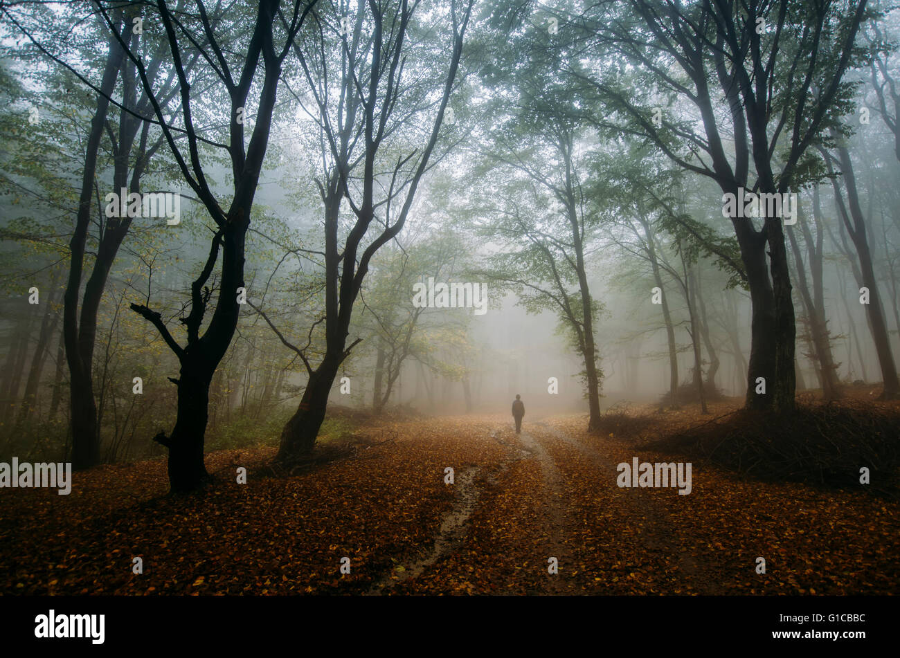 Dans l'homme paysage sombre forêt Banque D'Images