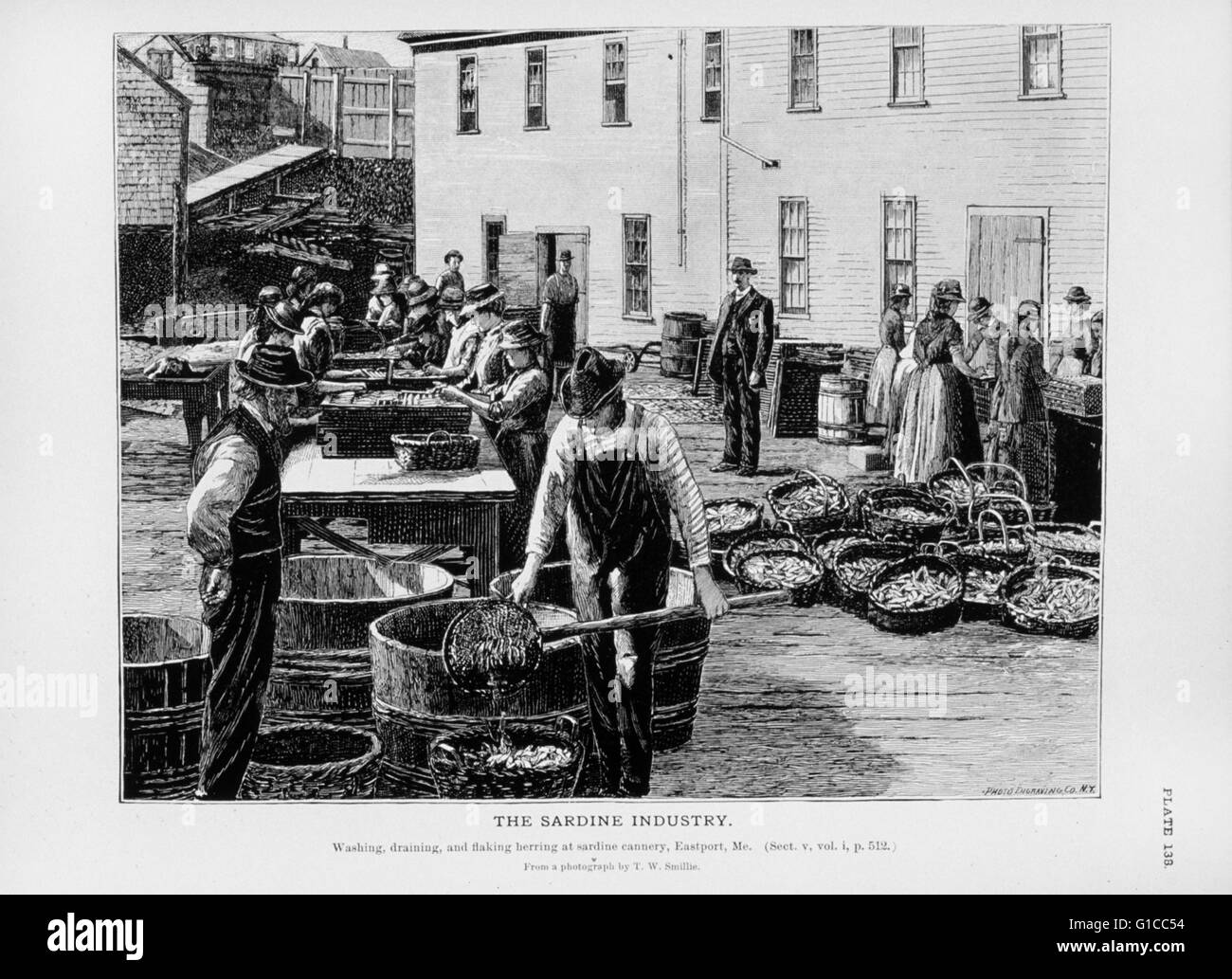 Lavage, vidange, et de l'écaillement au hareng sardinerie, Eastport (Maine). Par T. W. Smillie. Banque D'Images