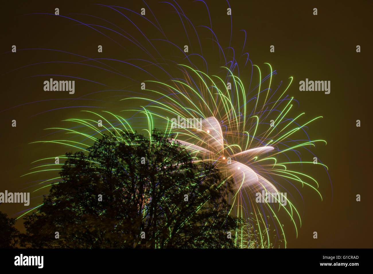 Une longue exposition d'artifice spectaculaire sur un feu de camp Windy Night, London, UK. Banque D'Images