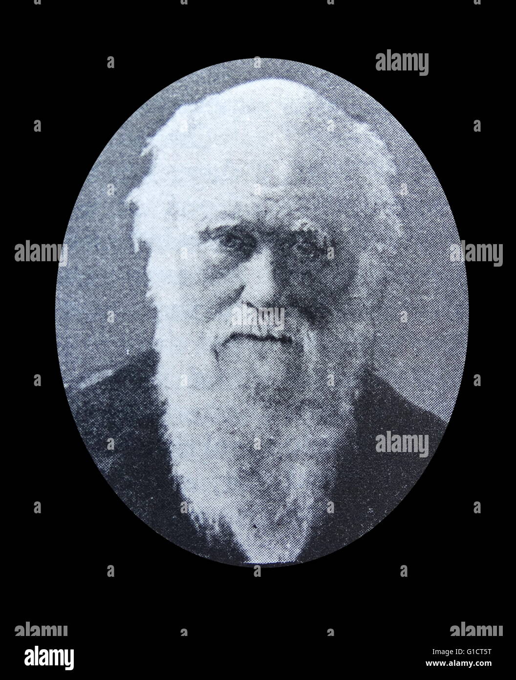Portrait de Charles Darwin (1809-1882) naturaliste et géologue anglais. En date du 19e siècle Banque D'Images
