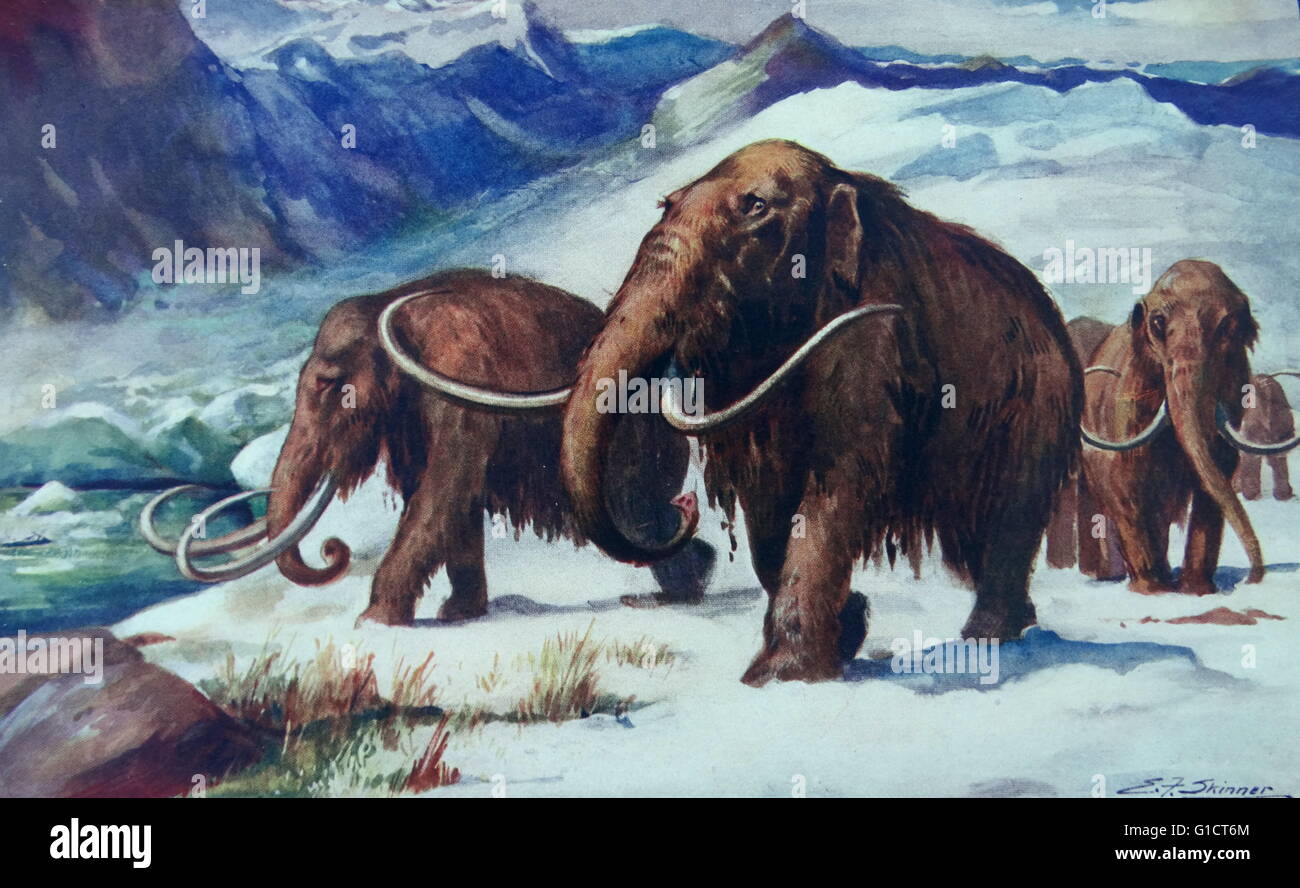 Peinture représentant des mammouths sur la terre au début de l'âge de glace Banque D'Images