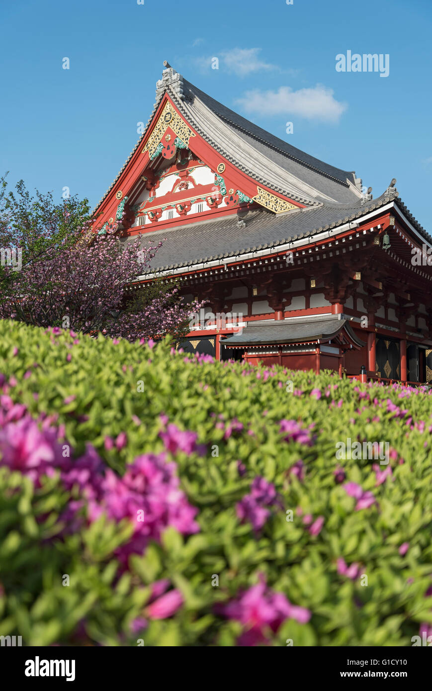 Le Temple Senso-ji, Asakusa, Tokyo, Japon Banque D'Images