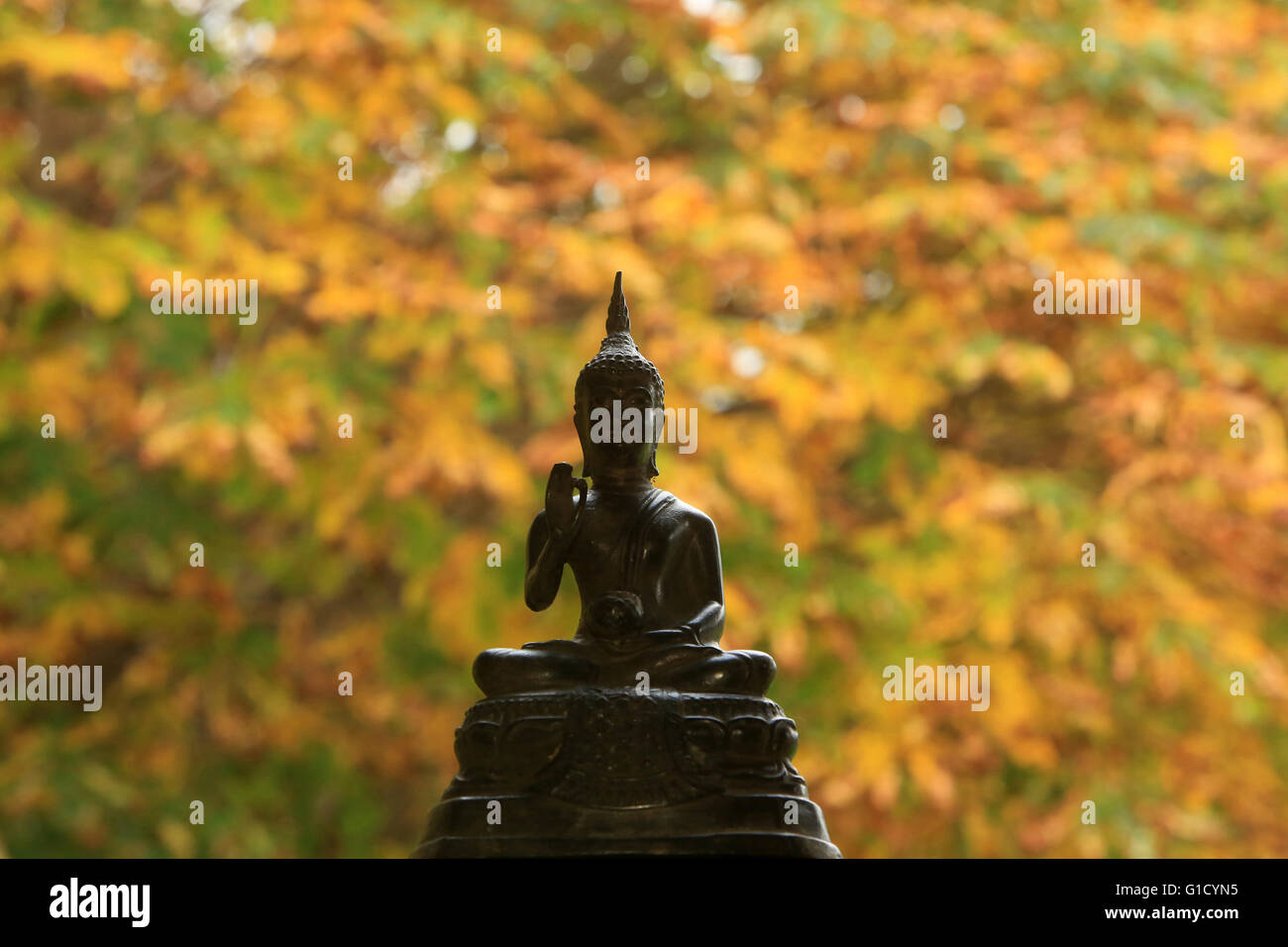 Bouddha. Bussy Saint-Georges. La France. Banque D'Images
