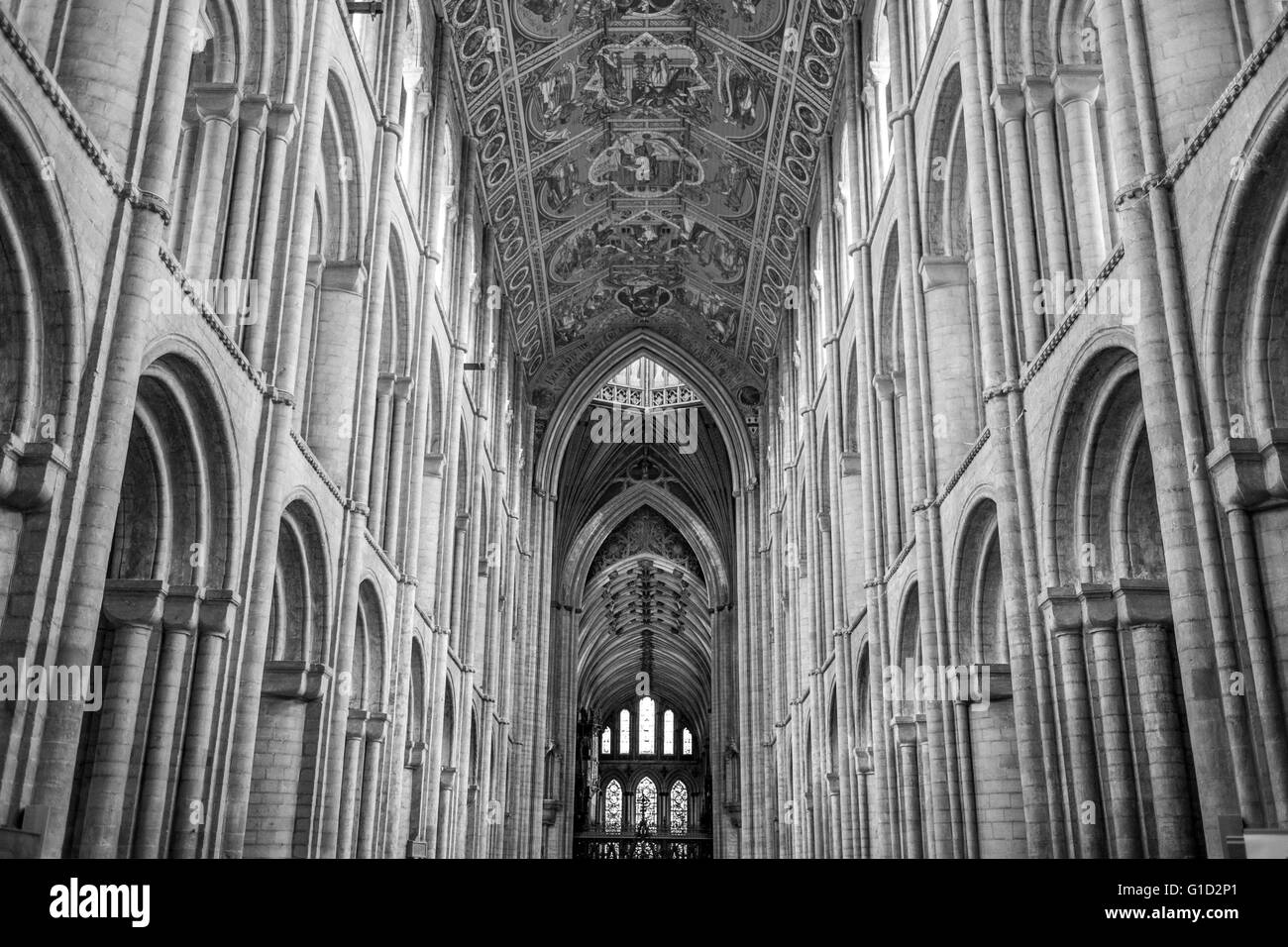 Cathédrale d’Ely. Banque D'Images