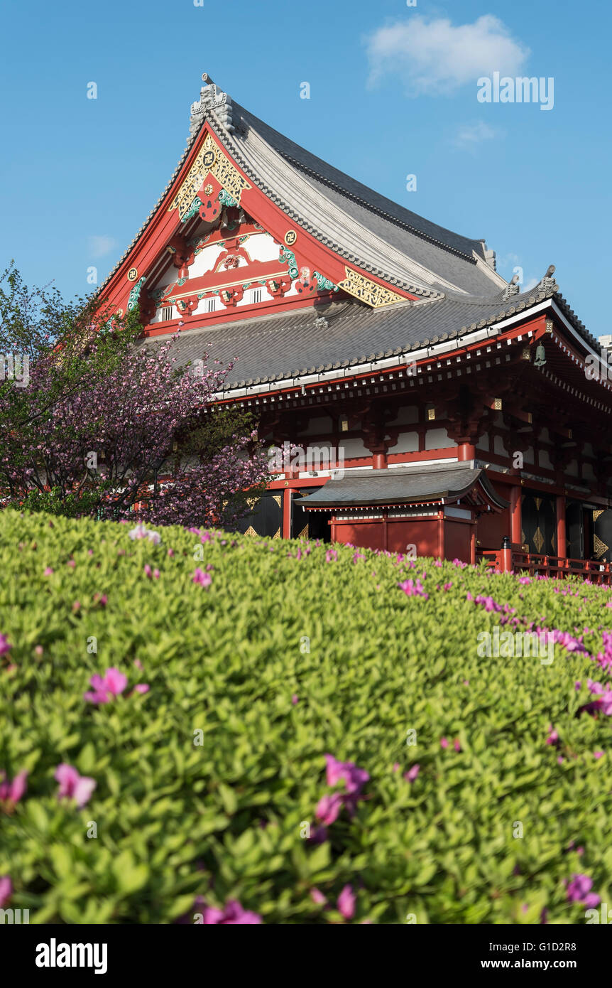 Le Temple Senso-ji, Asakusa, Tokyo, Japon Banque D'Images