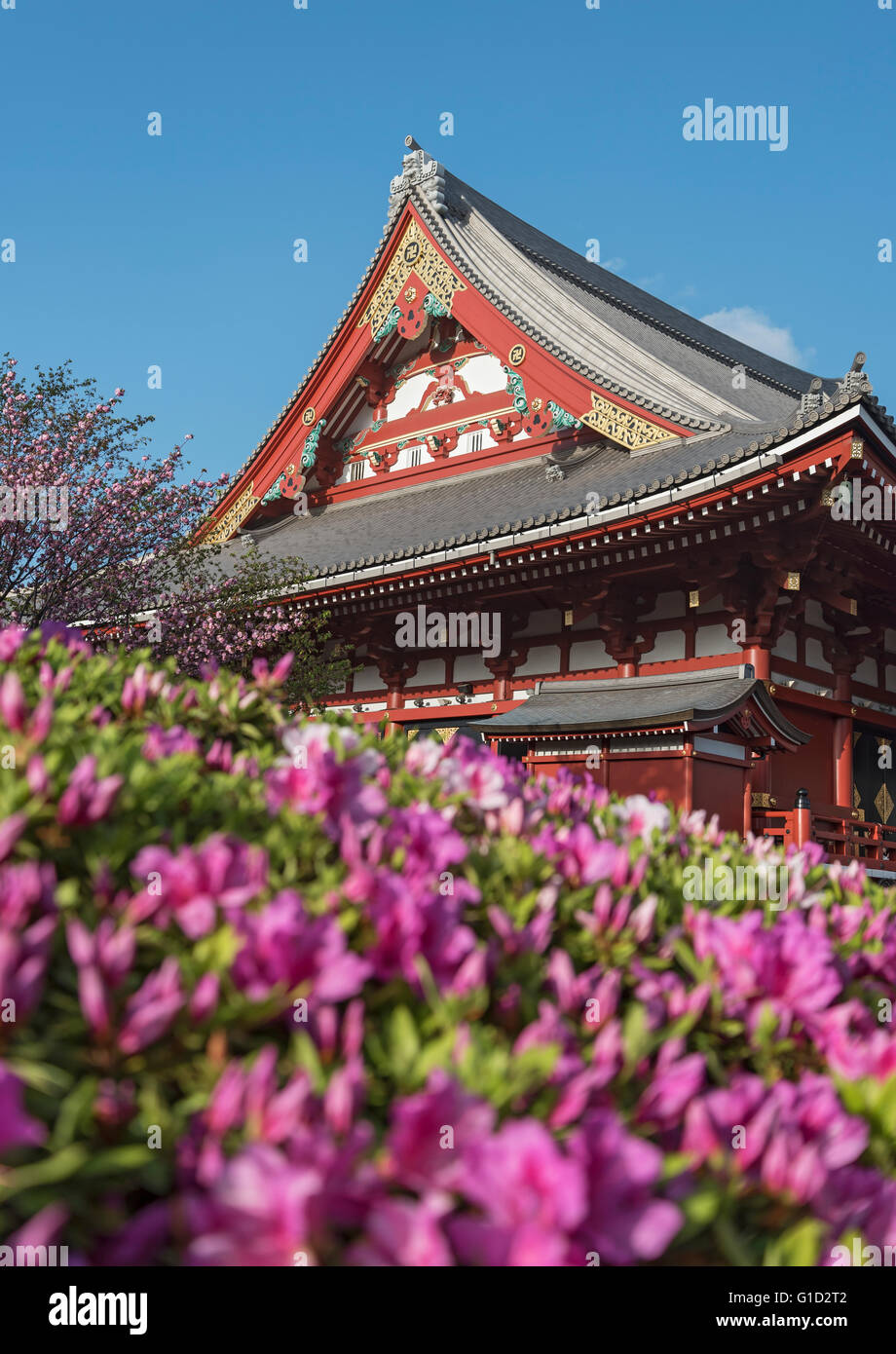 Le Temple Senso-ji, Asakusa, Tokyo, Japon Banque D'Images
