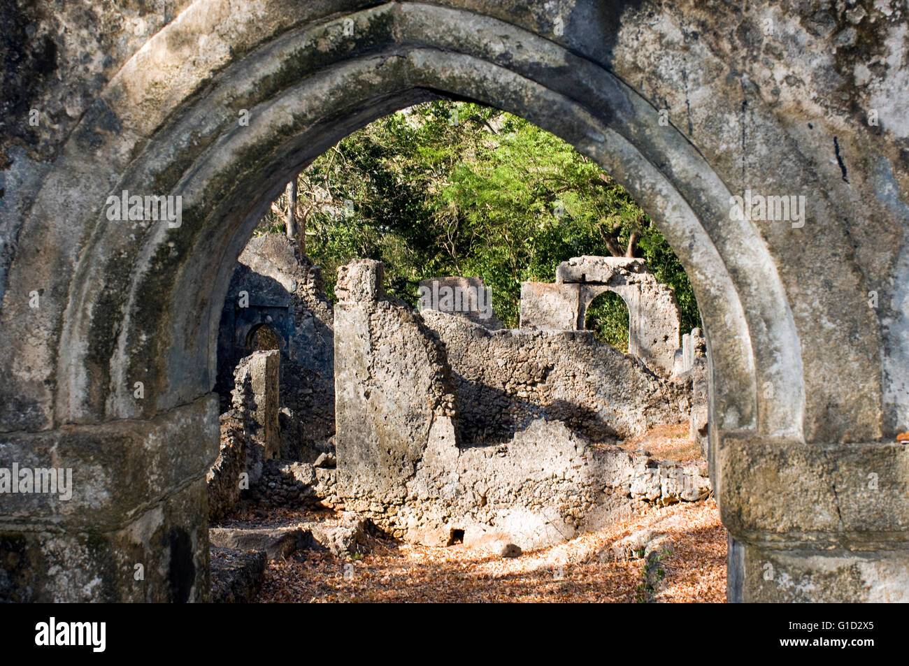 Les ruines de Gedi, Malindi Kenya Banque D'Images