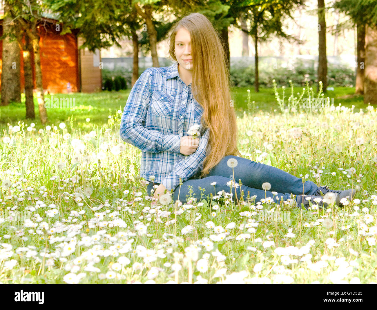 Belle jeune fille, 16 ans, Européen, avec de longs cheveux bruns, en jeans et jupe, assise sur prairie avec marguerites et whit Banque D'Images