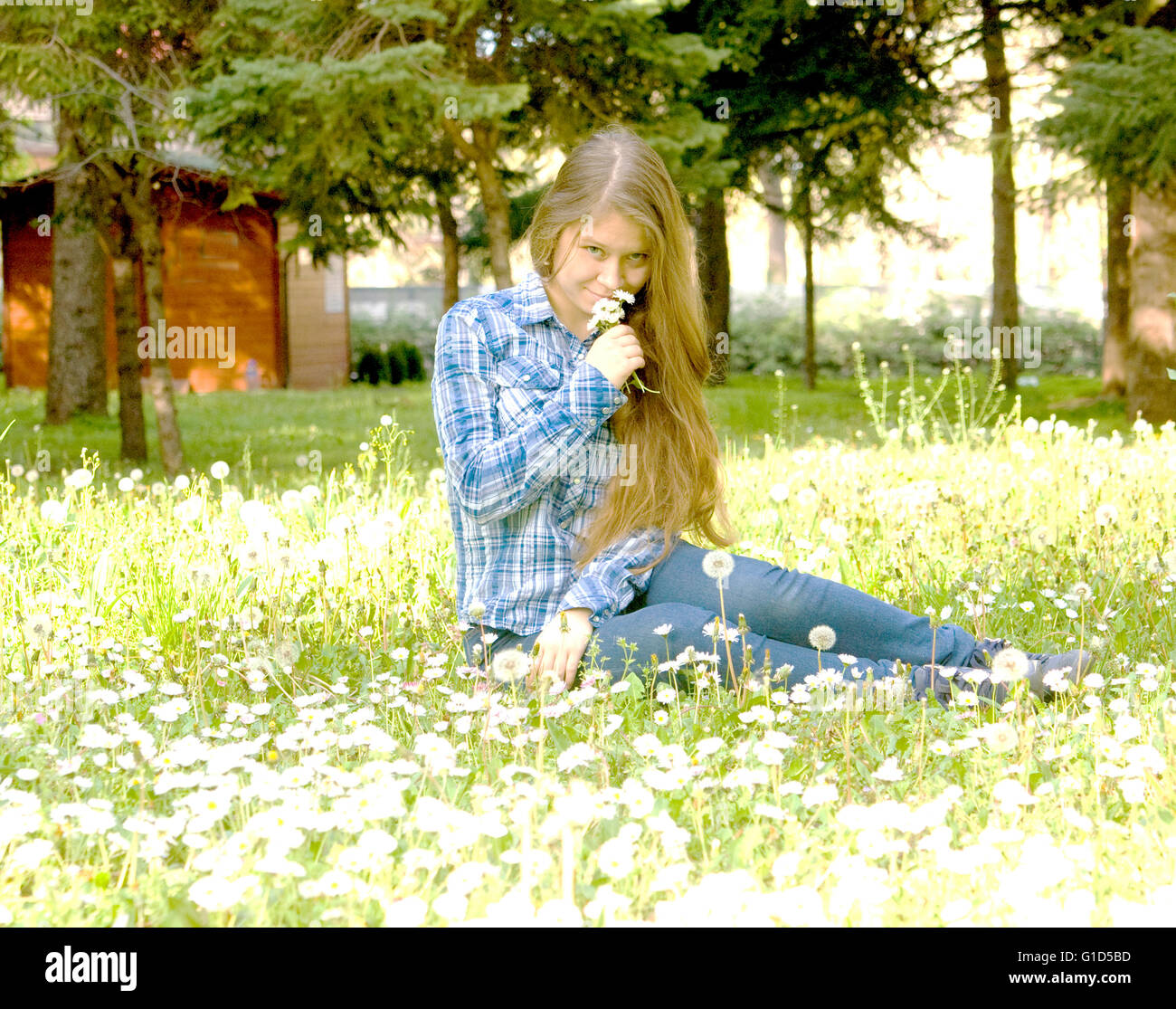 Belle jeune fille, 16 ans, Européen, avec de longs cheveux bruns, s'assied sur prairie avec marguerites et pissenlits blancs. Banque D'Images