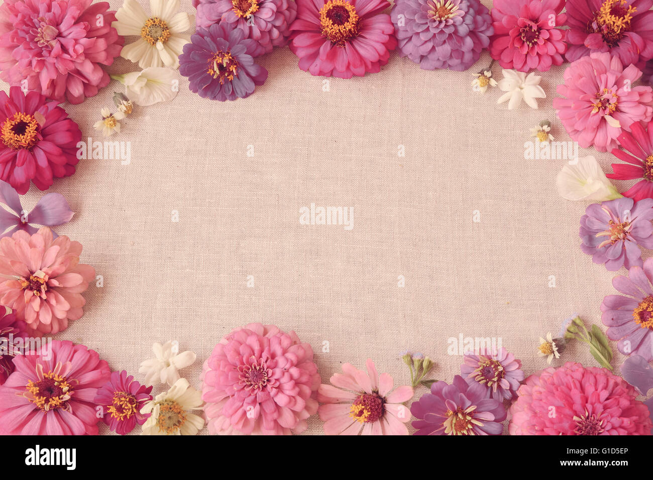 Fleurs roses copie espace background, selective focus, tonification Banque D'Images