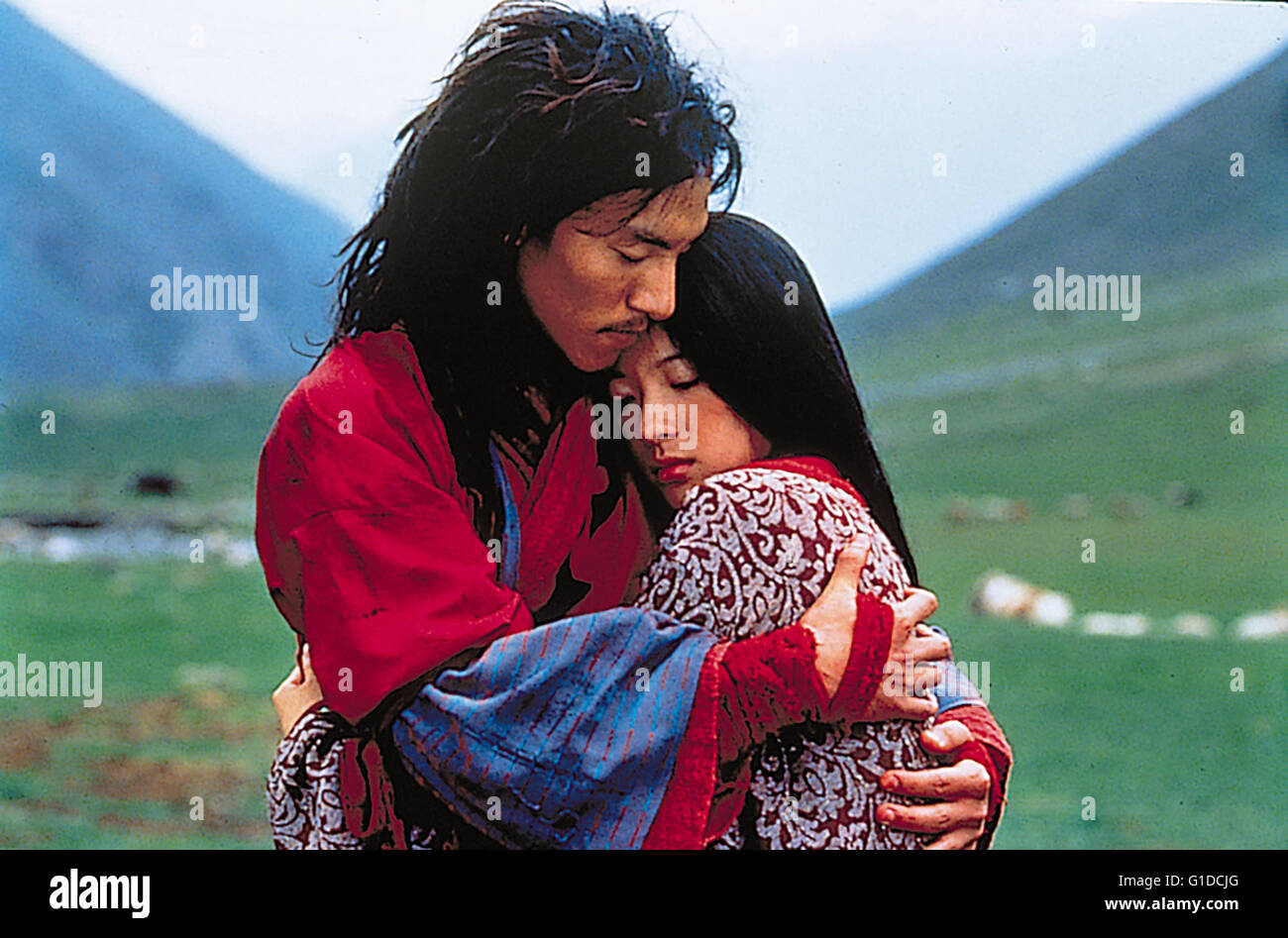 Tiger & Dragon / Zhang Ziyi, Banque D'Images