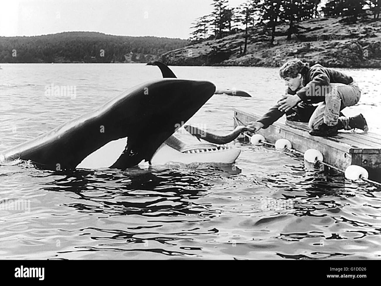 Sauvez Willy - Freiheit in Gefahr / Jason James Richter / Orca - Wal, Banque D'Images