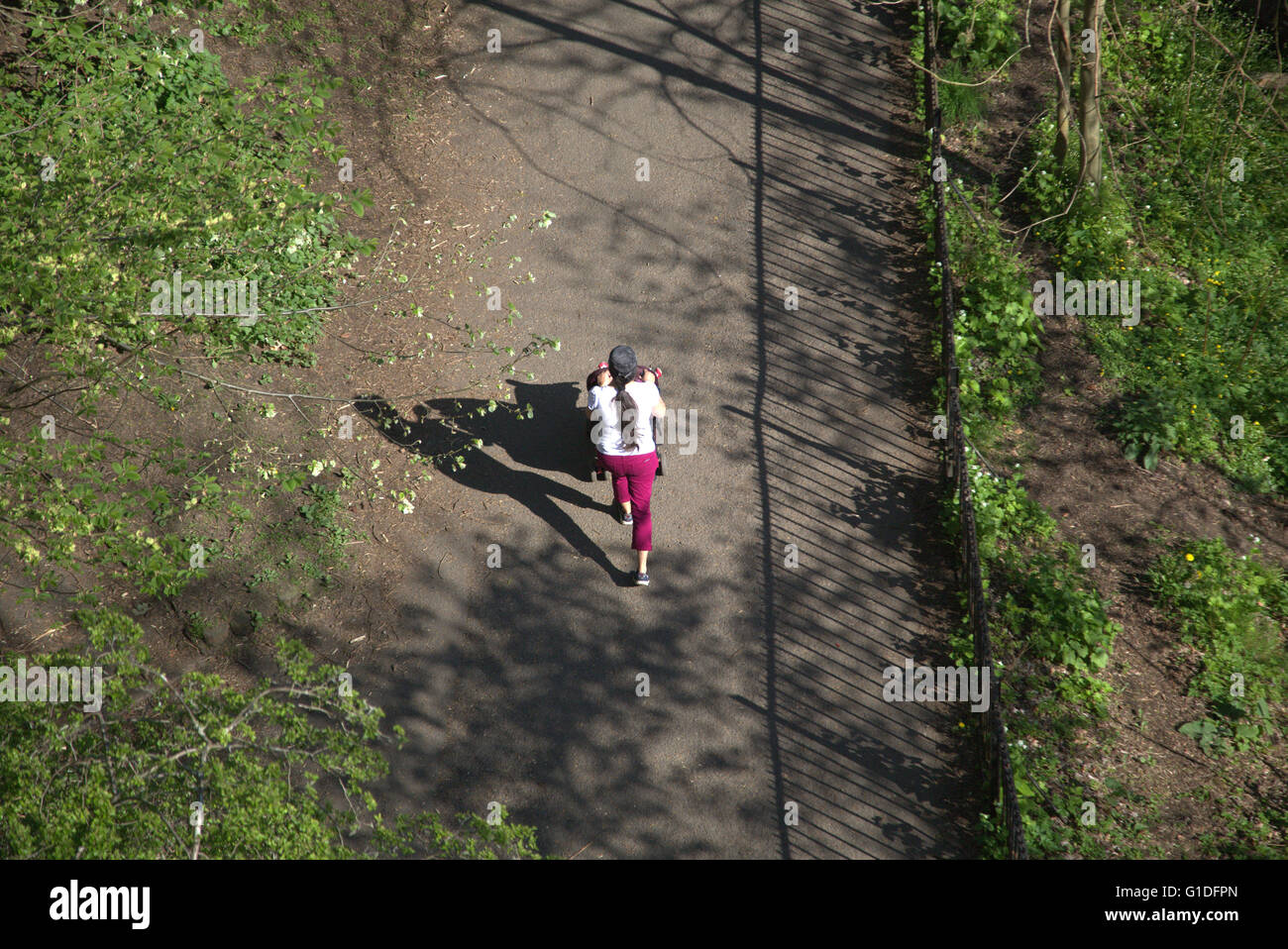 Fille unique poussant la pram en marchant dans le parc Kelvingrove tourné à partir de ci-dessus, un jour ensoleillé, du parc Kelvingrove, Banque D'Images